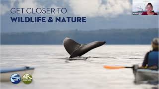 Holland America Alaska Cruises