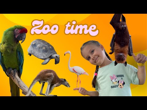 Petting Zoo Time at Eko Park Piešťany, Bratislava. Let’s feeding and playing with Animals.