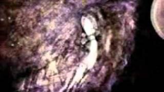 el porta - decide rapido o muere despacio.