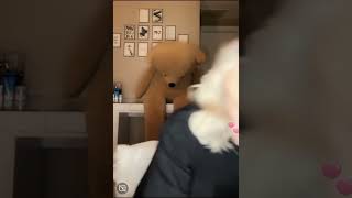 Download lagu Bigo Live mp3