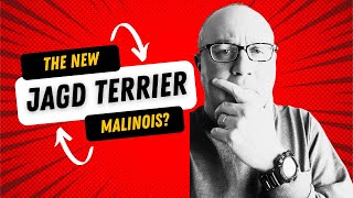 I Predict The Jagd Terrier Will Be The New Malinois