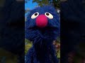 The Best of Grover's Funny Moments! #sesamestreet