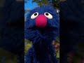 The Best Of Grover S Funny Moments Sesamestreet