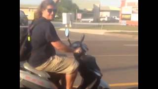 Born to ride.... a scooter?