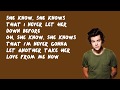 Steal My Girl - One Direction (Lyrics)