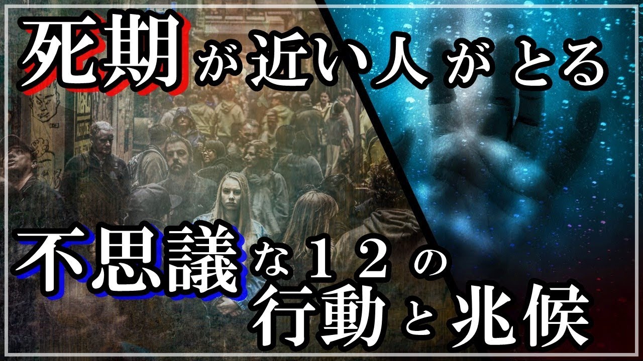 【衝撃】死期が近い人には急にし始める不思議な行動と兆候があった！突然、○○を始めたら・・・知ってよかった雑学　ビビットｃｈ