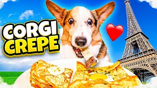 CORGI Tries Dog-Friendly Crepes