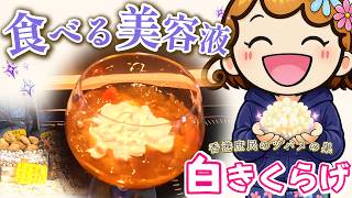 食べる美容液「白きくらげ」/ 庶民のツバメの巣で作る絶品デザート｜香港女子の美肌習慣｜香港🇭🇰 Vlog｜#香港ぐらっしー