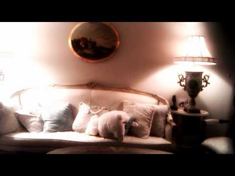 THE HAPPY BIRTHDAY VINAR SONG NOT REALLY.