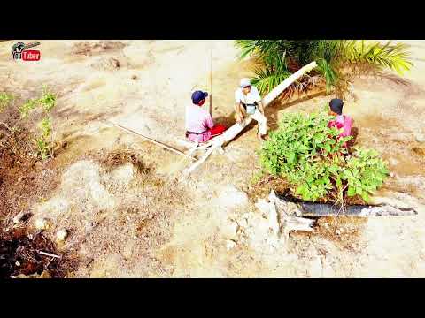 Menugal padi amalan tradisi Orang Asli Suku Jahut Pahang 