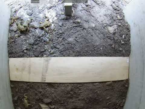 Krötenregen im Amphibientunnel