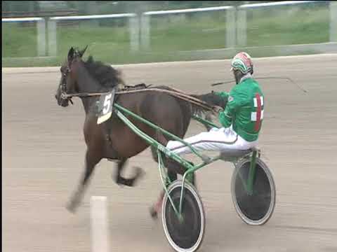 Trotto 01/06/2019 - 8ª corsa