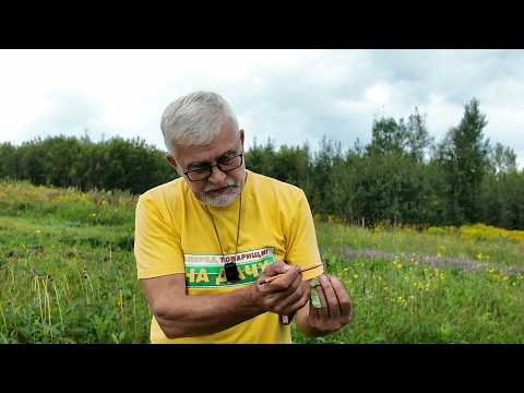 Вперед, товарищи! На дачу! Выпуск от 11.08.26