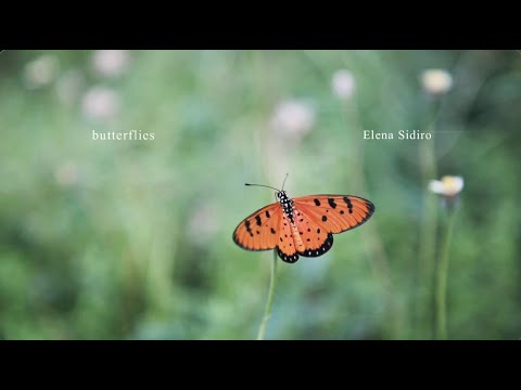 Elena Sidiro - butterflies (Lyric Video)