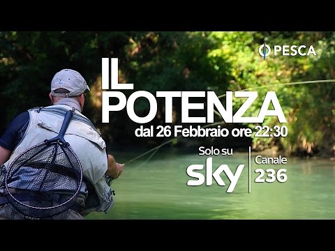Pomodori influenzano la potenza Leffetto sulla potenza di calcolosi urinaria