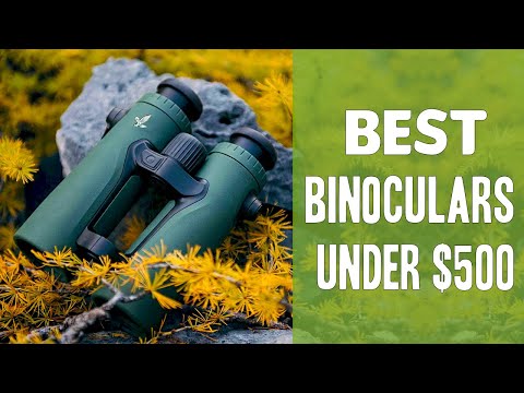 Top 10 Best Binoculars Under $500 In 2023
