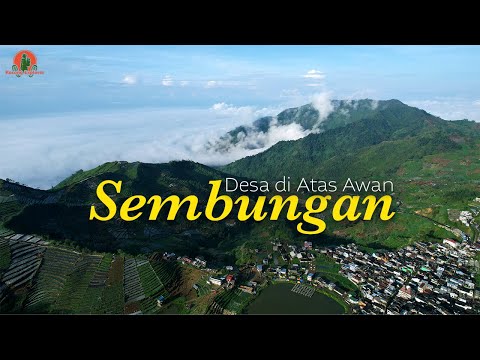 Mengunjungi Desa Tertinggi di Pulau Jawa yang berada diatas Awan