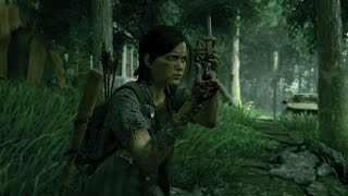 The Last of Us Part II【英語音声】Part9
