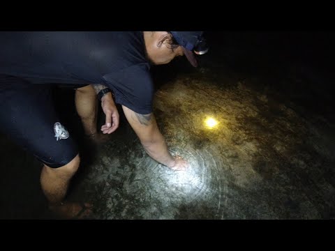 SE02EP043 - PANGINGILAW ng TILIN-TILIN | DISKARTE ng PANG ULAM sa GILID GILID | BUHAY ISLA