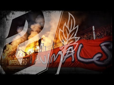 SECTOR G: CSKA - Cherno more /15.09.18/