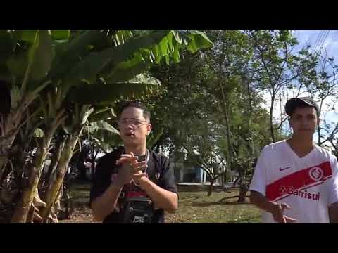 MEDLEY NA PRAÇA - Mc's Luan Da ZL, Luan MV, Cabral MC & MC Gabriel JS