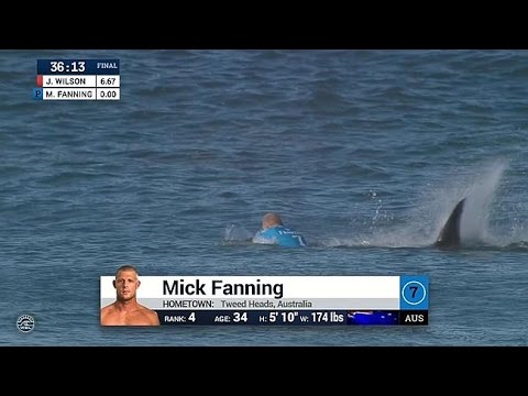 Surfista logra escapar de un ataque de tiburón