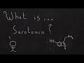 What Is Serotonin One Minute Medical School