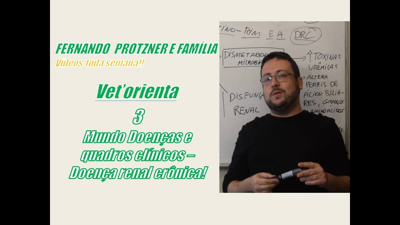 Vet'orienta 3 Mundo das doenças e quadros clínicos  Doença renal crônica