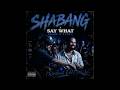 Shabang X Say What Drake Rampa Rokitbeats Edit