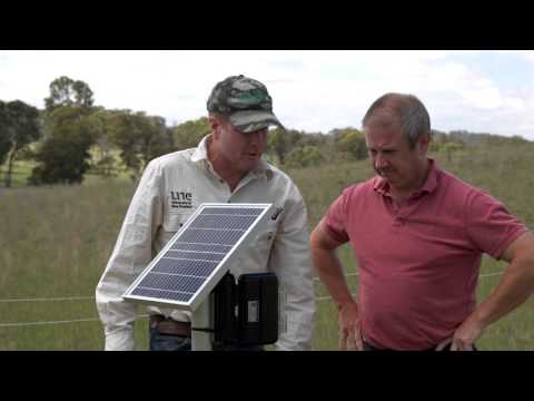 Professor David Lamb