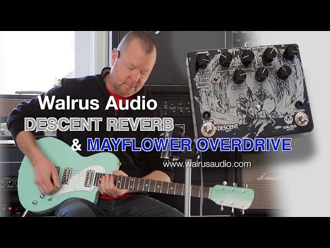 Immagine Walrus Audio Descent Reverb / Octave Machine - 5