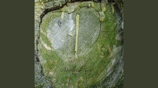 Time Passes Slowly and Fades Away