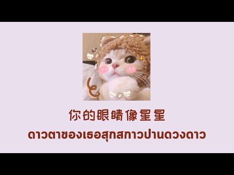 คลิกเพื่อดูคลิปวิดีโอ