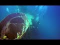 Wreck Diving on the USCGC - Duane HD1080p  - Key Largo Florida - GoPro Hero4 Black, USCG Duane - Key Largo, USA, Florida