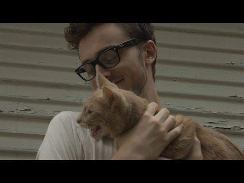 CAT (short film)