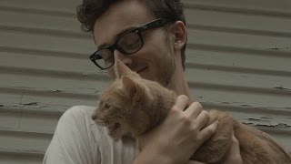 CAT (short film)