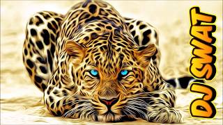 Download lagu Tribal Tech House Mix 2026 Vol.4 mp3