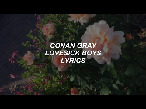 lovesick boys // conan gray lyrics
