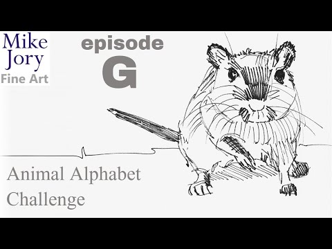 Thumbnail of five minute gerbil drawing