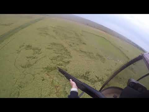 Kubecka Flying Service Helicopter Hog Hunting: Jill's Hog Hunt 9/4/2020