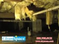 DryZone Damp Wet Moldy CrawlSpace