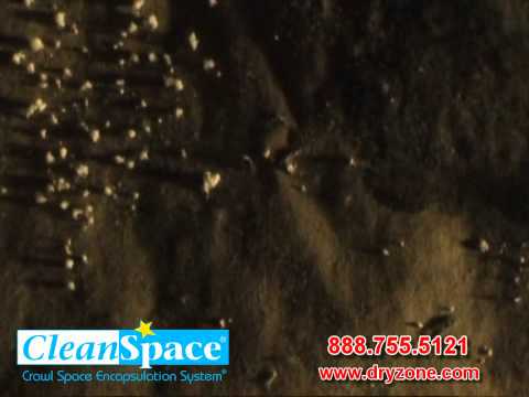 DryZone Damp Wet Moldy CrawlSpace