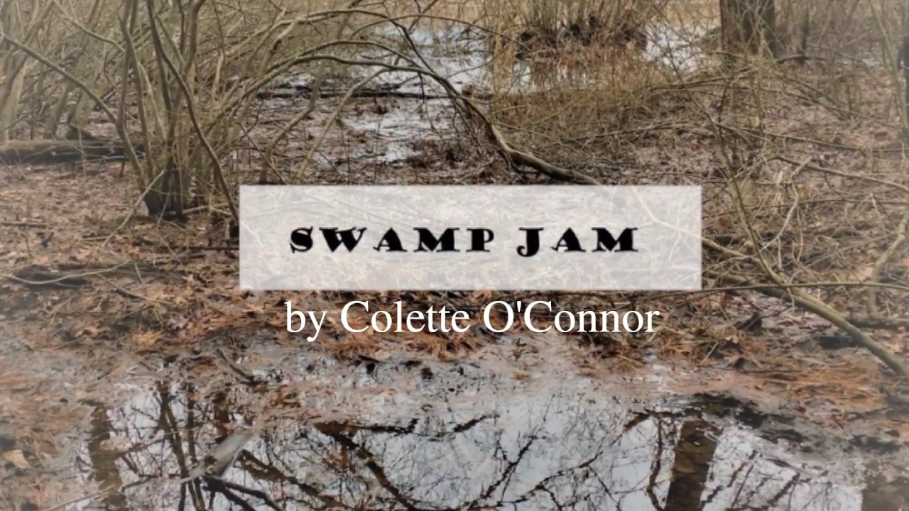 Promotional video thumbnail 5 for Colette O'Connor