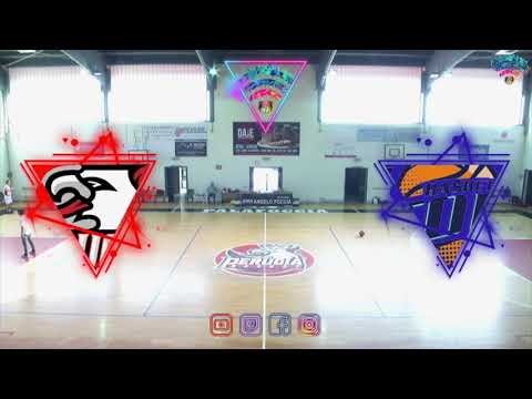 Highlights Under 17 Eccellenza Girone A 2022-2023 - Perugia Basket vs. Basket Todi