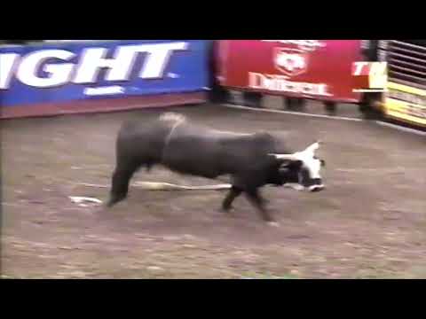 Crazy 8 bucks Leslie Doyle - 00 PBR Columbus, OH