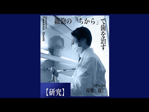 研究の紹介　細胞の「ちから」で歯を治す（2025年7月）