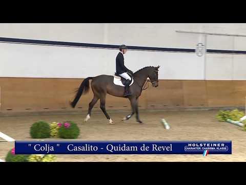 105 | Colja v. Casalito - Quidam de Revel