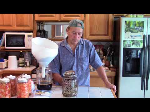 Making Chaga Tincture