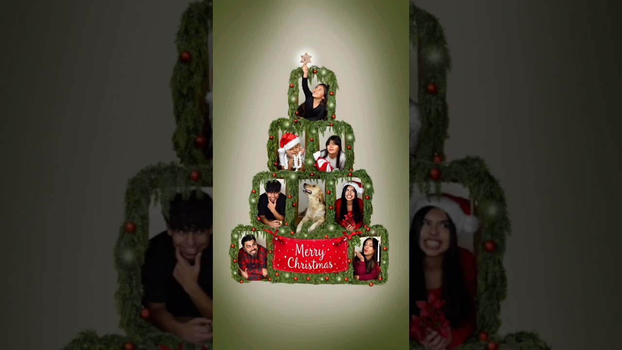 Box Family Christmas Photos 🎄♥️