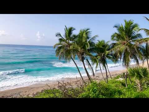 Barahona and more ! Dominican Republic 🇩🇴 #besttrip #🏝#barahona